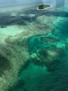 sunlover reef cruises cairns,Sunlover Reef Cruises Cairns: A Comprehensive Guide