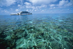 australia’s barrier reef,Australia’s Barrier Reef: A Diverse and Majestic Wonder