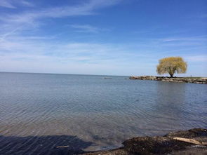 lake erie reefs,Lake Erie Reefs: A Dive into the Underwater Wonders of North America