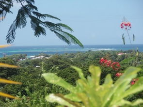 buccoo reef tobago,Buccoo Reef Tobago: A Dive into Paradise