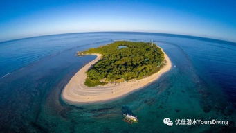 apo reef island,Apo Reef Island: A Diving Paradise Unveiled