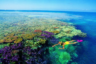 montgomery reef australia,Montgomery Reef, Australia: A Natural Wonder Unveiled