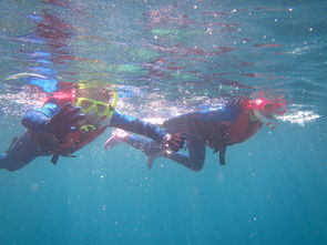 stoked reef,Stoked Reef: A Dive into the World of Coral Reefs