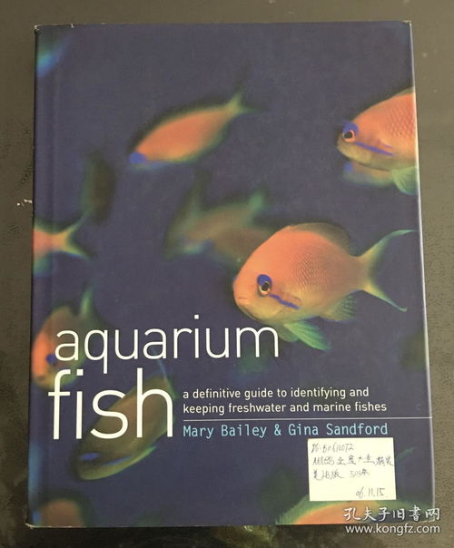 reef aquarium fish,Reef Aquarium Fish: A Comprehensive Guide for Enthusiasts