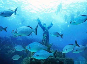 key largo florida coral reef,Geographical Location and Topography