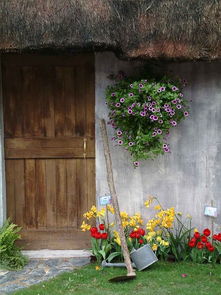 flower reef for door,Flower Reef for Door: A Unique and Stylish Addition to Your Home