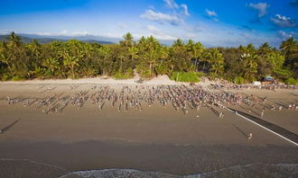 indigo reef marathon fl,Indigo Reef Marathon Fl: A Comprehensive Guide