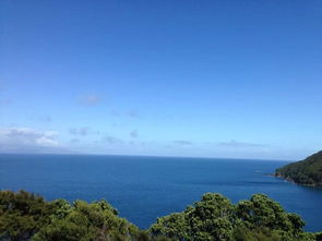 great barrier reefer,The Great Barrier Reef: A Diverse and Majestic Wonder