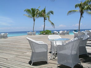 reef burger coral island,Location and Accessibility