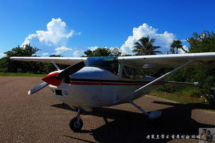 iguana reef caye caulker,iguana reef caye caulker: A Diving Paradise Unveiled