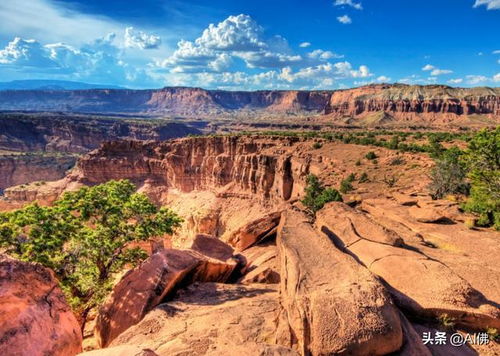 capitol reef national park reviews,Capitol Reef National Park Reviews: A Comprehensive Guide