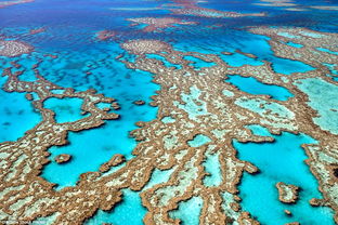 great barrier reef length,The Great Barrier Reef Length: A Detailed Overview