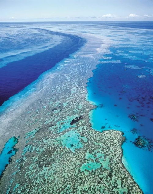 barrier reef images,Barrier Reef Images: A Visual Journey Through the Underwater Wonders