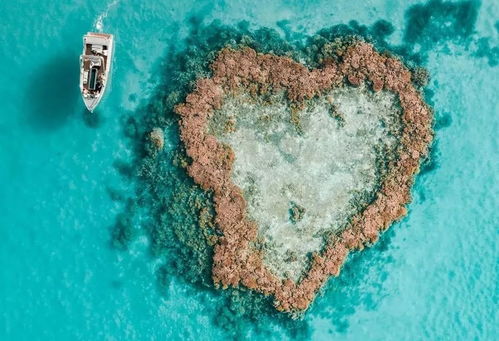 heart reef,Heart Reef: A Hidden Gem in the Great Barrier Reef