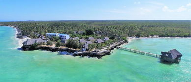 diani reef beach resort and spa,Accommodation