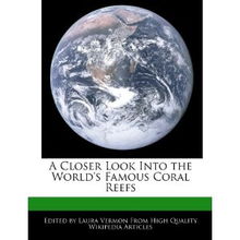 the reefs,Understanding the Reefs