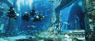 the reef at the atlantis,Location and Accessibility