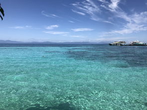 cairns great barrier reef glass bottom boat,Cairns Great Barrier Reef Glass Bottom Boat: An Unforgettable Experience